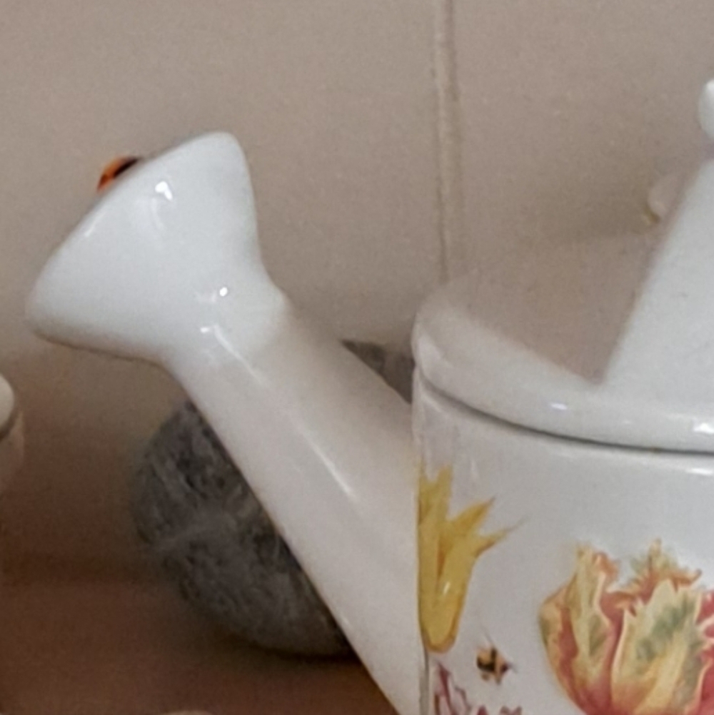 Hallmark Nature's Sketchbook Tulip Teapot Watering Can by Marjolein Bastin - Picture 4 of 4